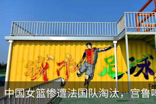 中国女篮惨遭法国队淘汰，宫鲁鸣直面失利真相